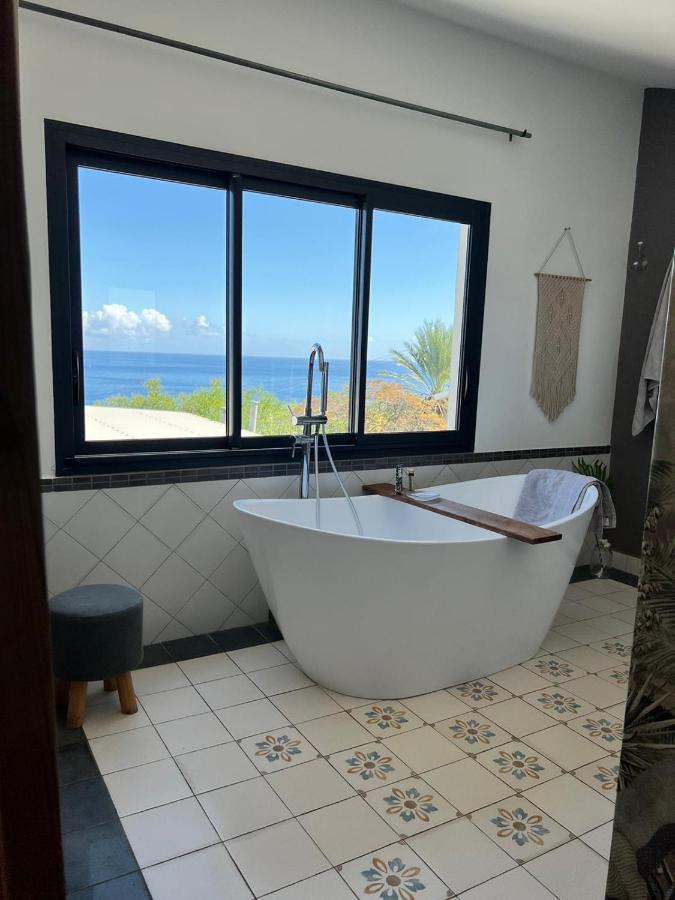 La Villa Bleue - Villa D'Architecte - Jacuzzi Saint-Paul ภายนอก รูปภาพ